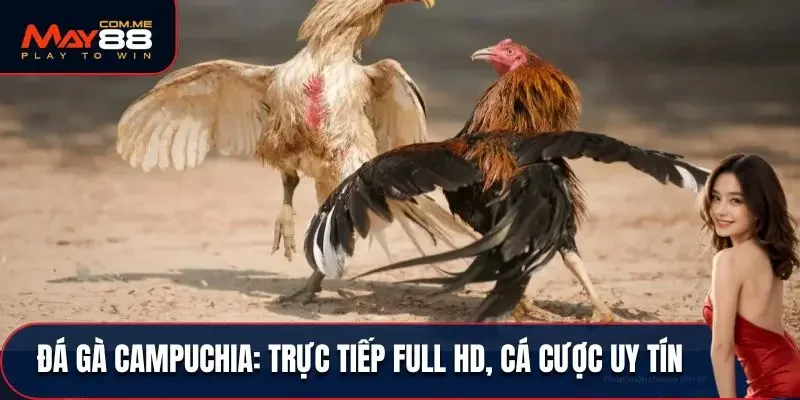 Đá gà Campuchia